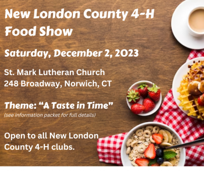 NLC 4-H Food Show advertising banner