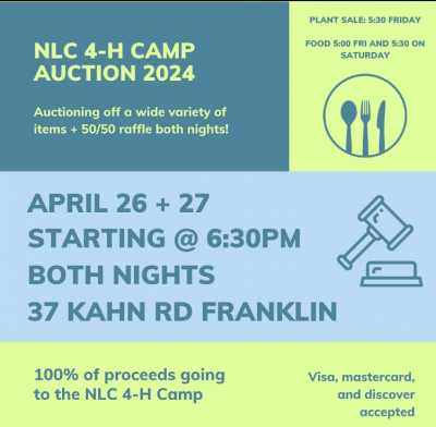 New London County 4-H Camp auction flyer