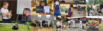 Photo showcasing dog, goat, cow, home show and tractor project areas at the 4H fair 