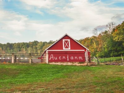 Picture of read barn on a hill with the words 'Aurefarm' on the side