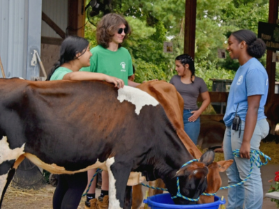 Youth next to Holstein and Jersey heifers