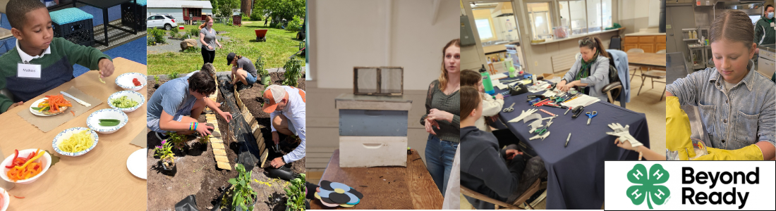 Photos highlighting youth eating healthy food, planting healthy foods and learning about bee keeping with 'Beyond Ready' in the corner