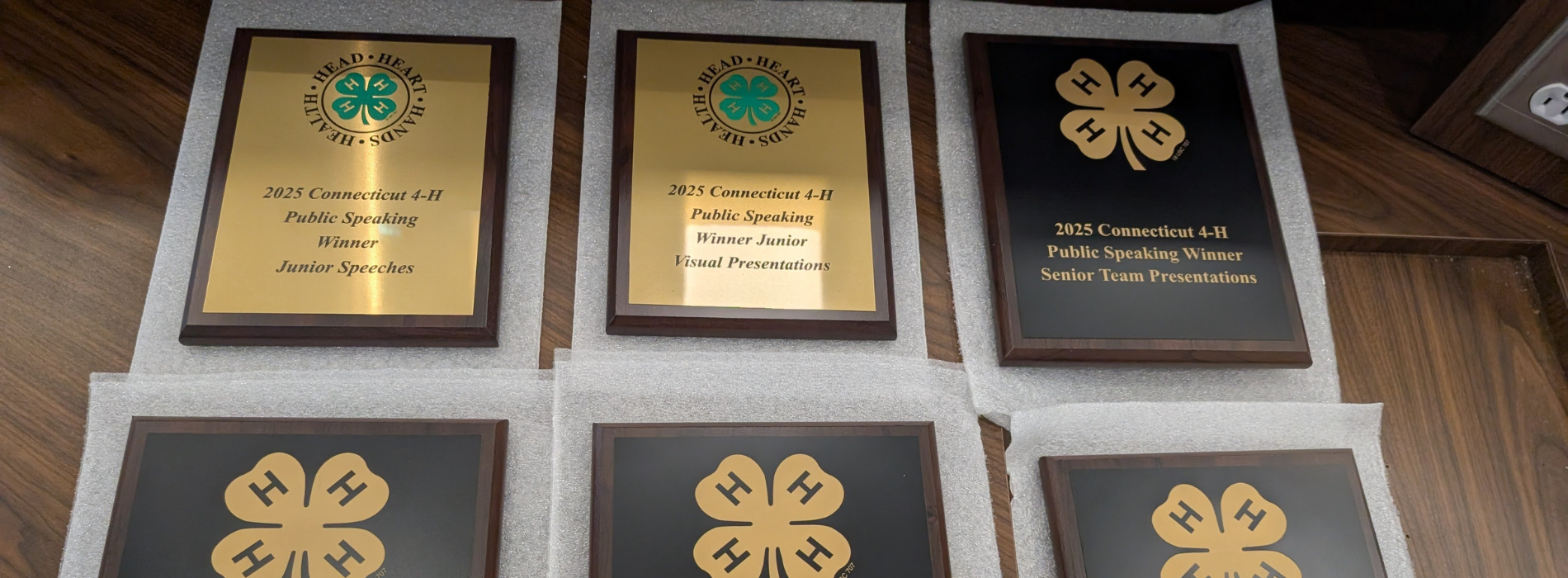 6 awards for 4-H public speaking contestants
