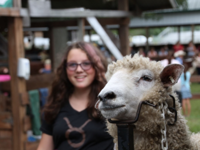 Youth and sheep on a stand