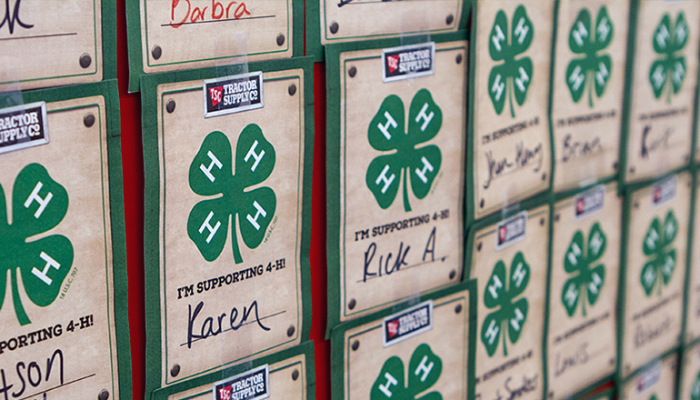 4-H clover papers on a wall with different names under each clover