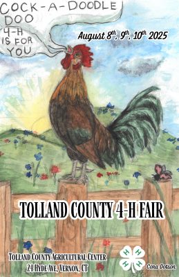 Drawing of a chicken on a fence. Background of the sky and sun with 4-H clover.