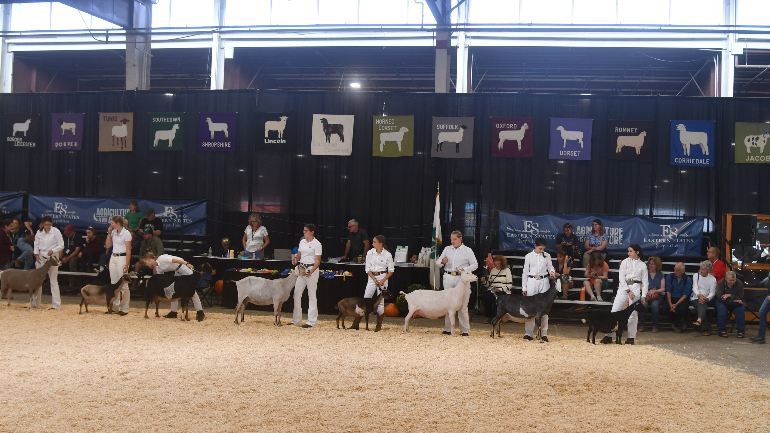 Row of youth in show whites holding goats of various sizes in a sawdust ring