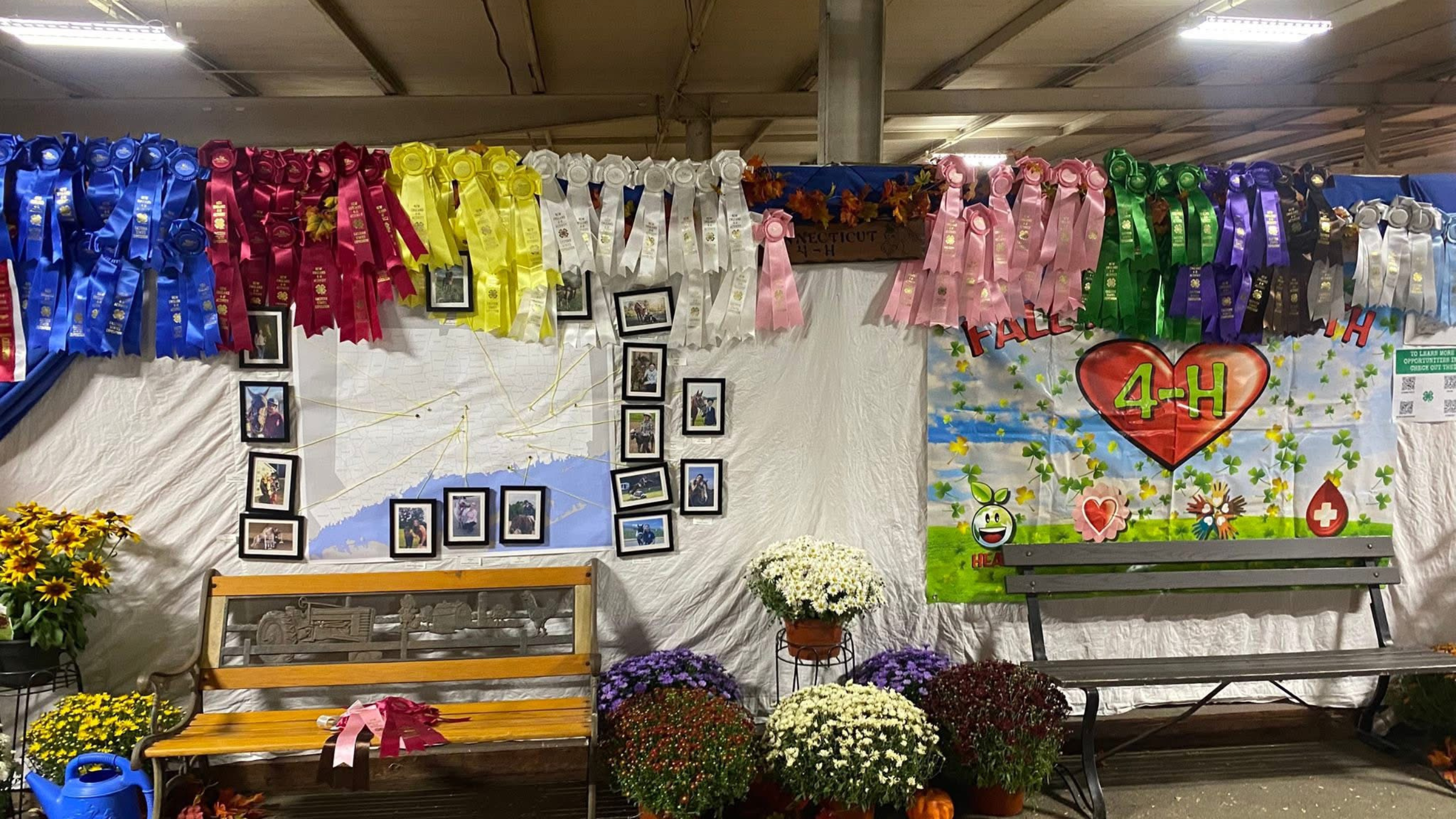 wall of ribbons, 4-H pictures and signage