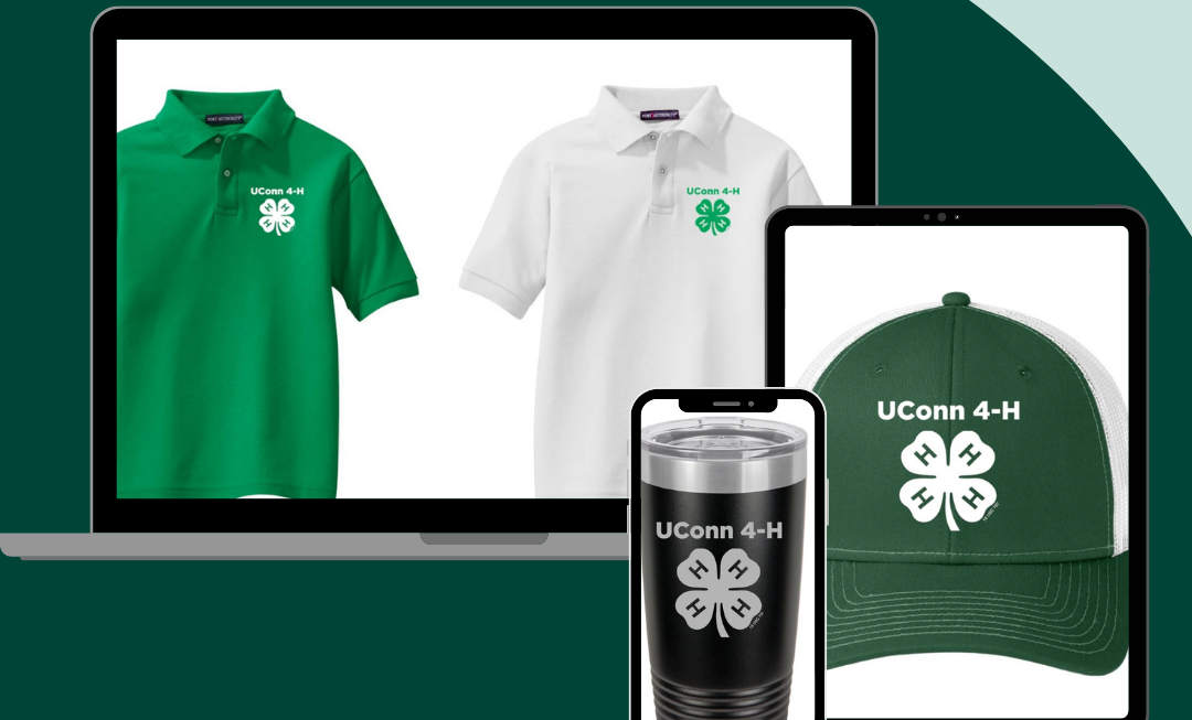 Promotional graphic for the UConn 4-H Online Store on a dark green background. Large white text reads ‘NOW OPEN.’ Across the center are images of UConn 4-H merchandise: a green cap, a black tumbler, a green polo shirt, and green plaid pants. At the top it says, ‘UConn 4-H Online Store,’ and at the bottom is the link s.uconn.edu/4-hstore